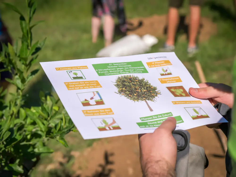 Mallorca CSR Incentives