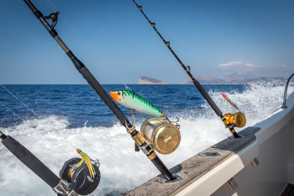 Deep Sea Fishing Mallorca