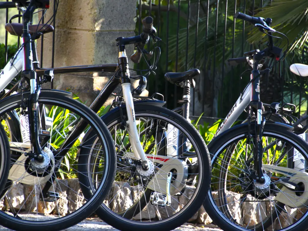 E-Bike Tour Sport