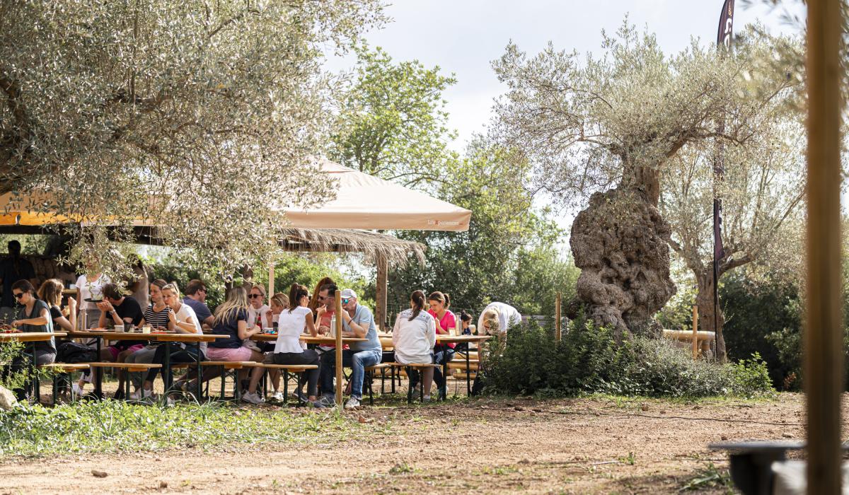 Mallorca-Event-Area.jpg
