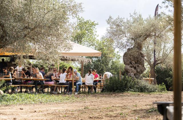 Mallorca-Event-Area.jpg