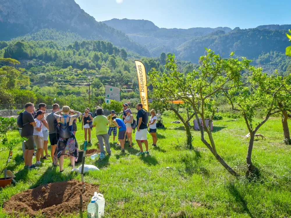 Mallorca Inventives CSR