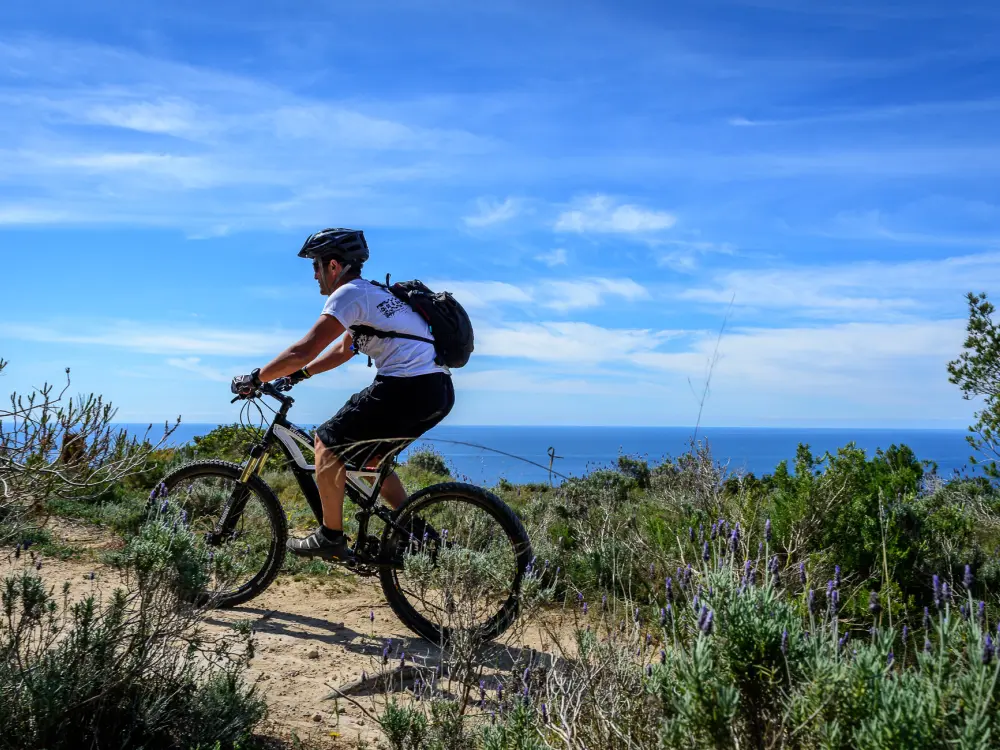 Mountain Bike Tour Sports