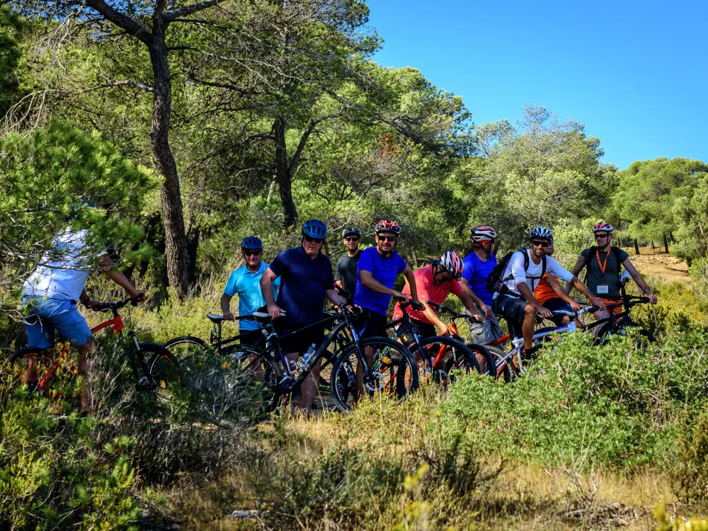 Mallorca Teambuilding Coaching