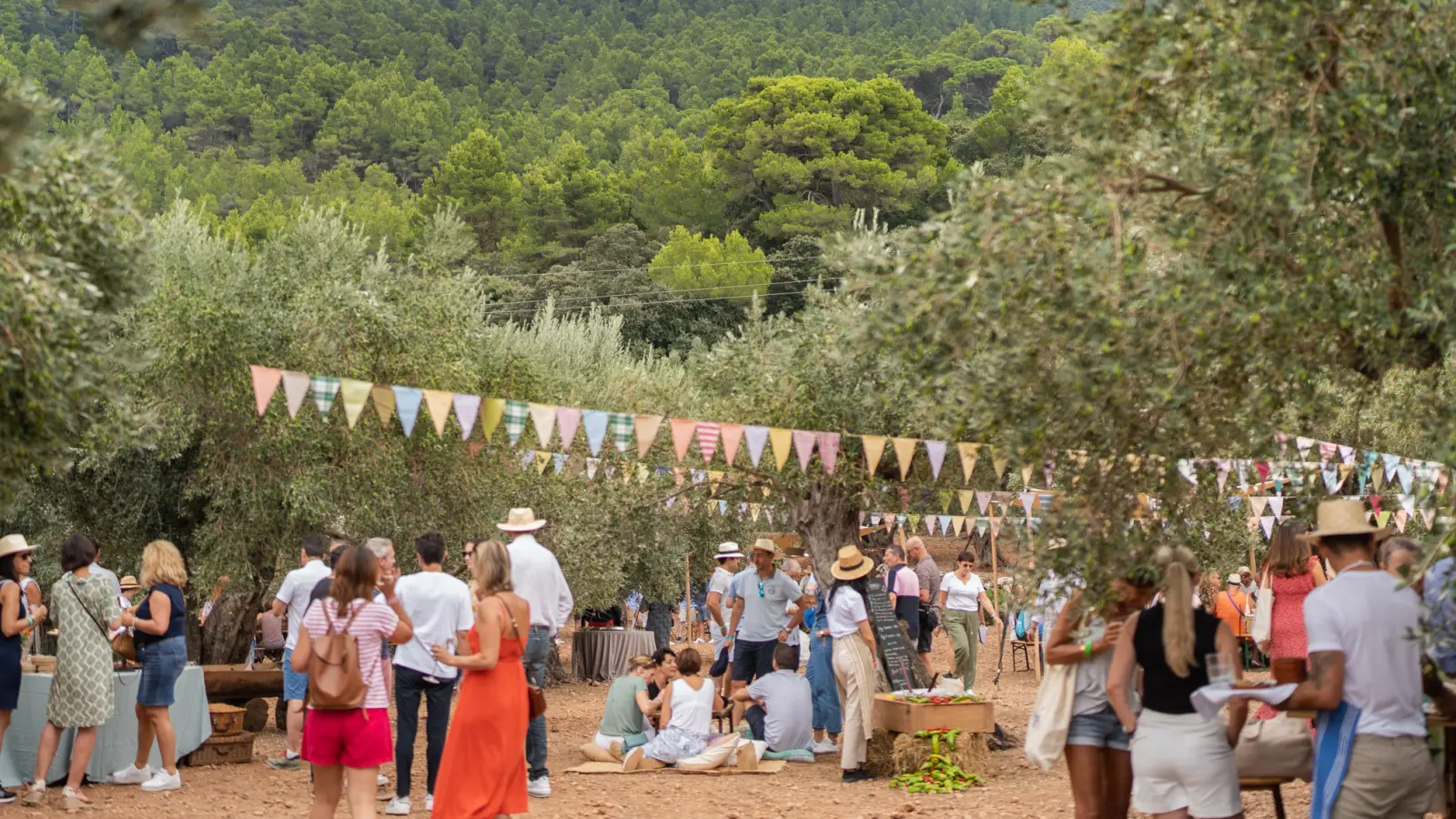 Mallorcan Market Xperience
