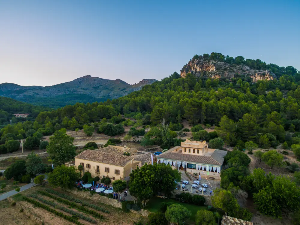Meeting Mallorca Incentive