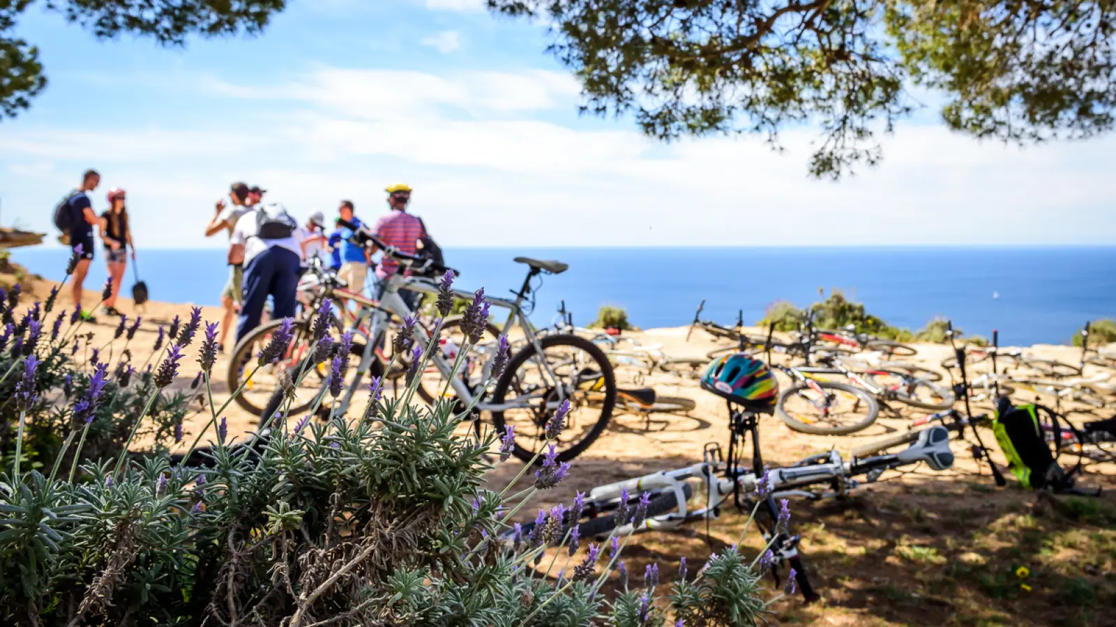 Mountain Bike Tour Mallorca