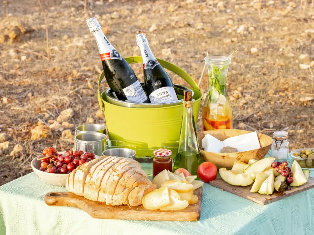 Horseback Riding and Picnic