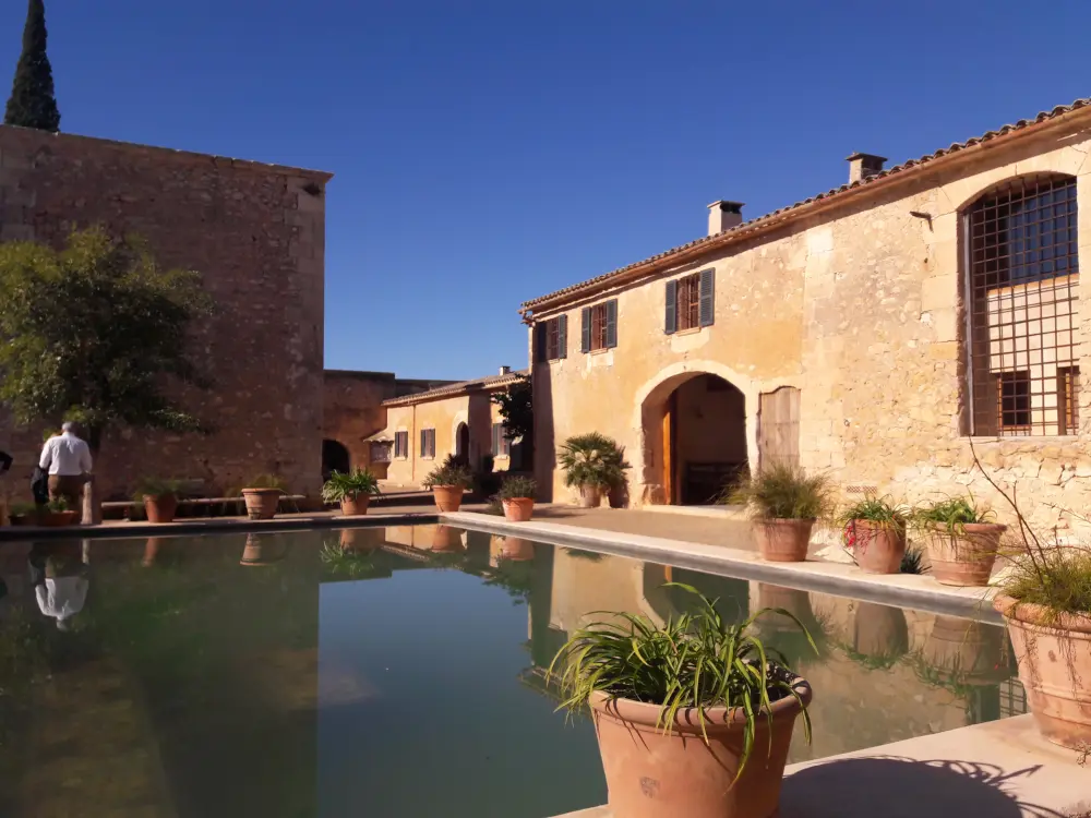 Finca de aceite de oliva Team Event