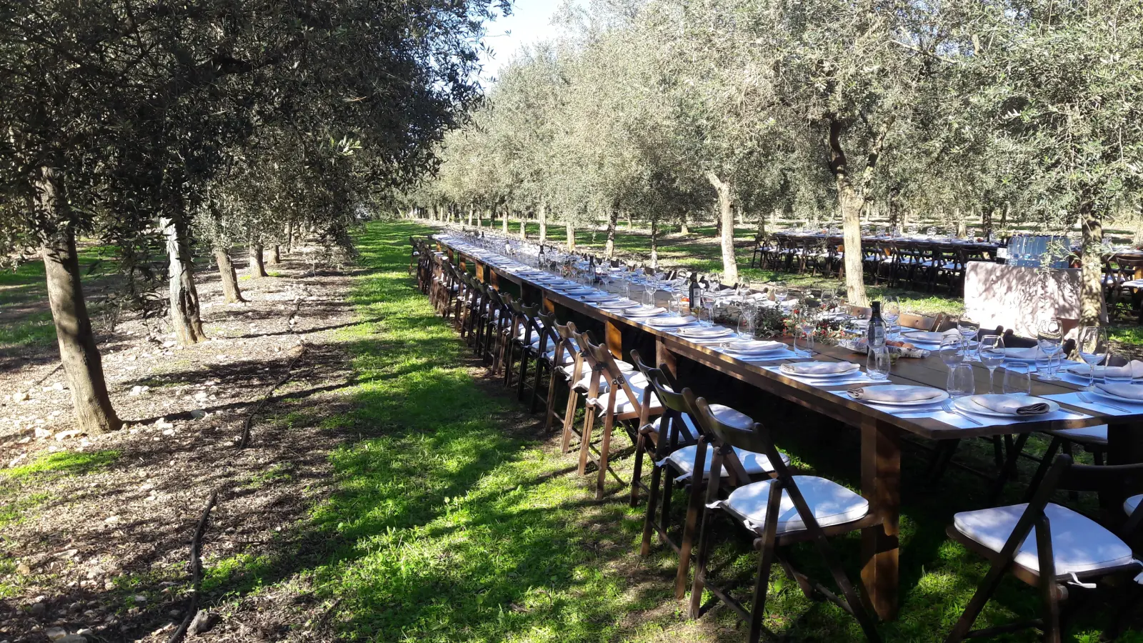 Sustainable Events and Incentives