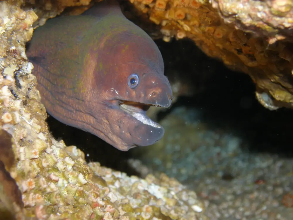 P9302859