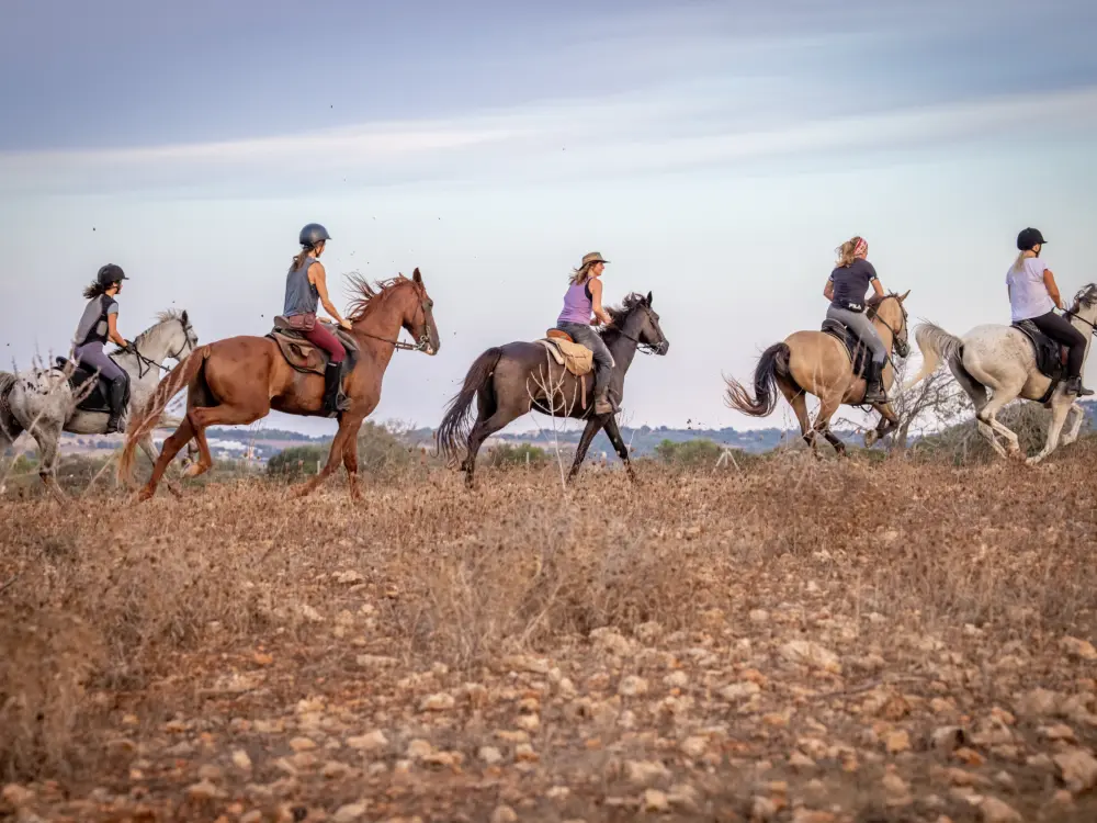 Horseback Riding in Mallorca