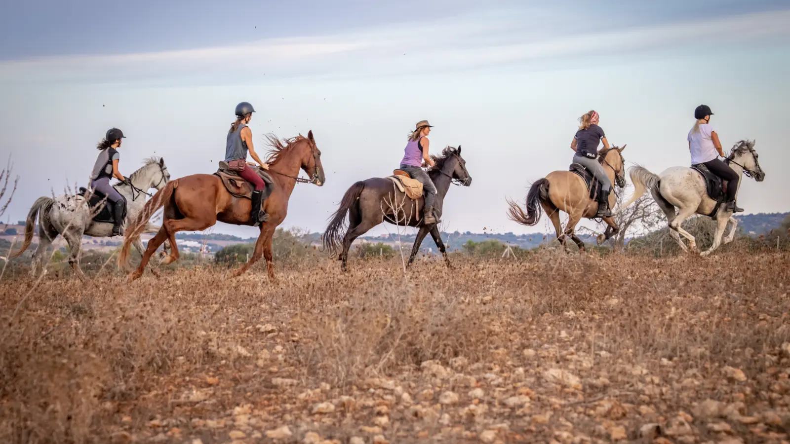 Horseback riding in Mallorca