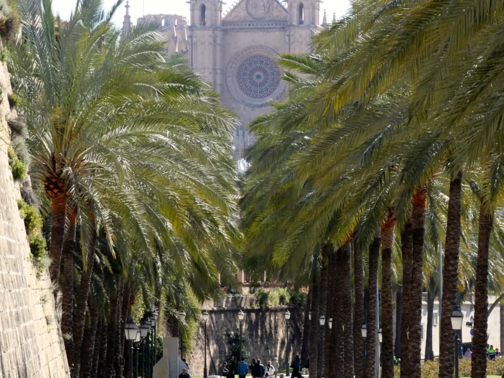Scavenger Hunt Cathedral