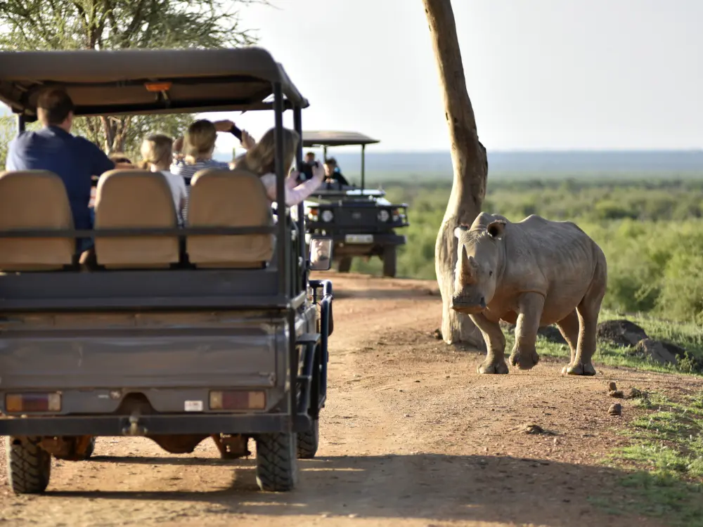 South Africa Incentive