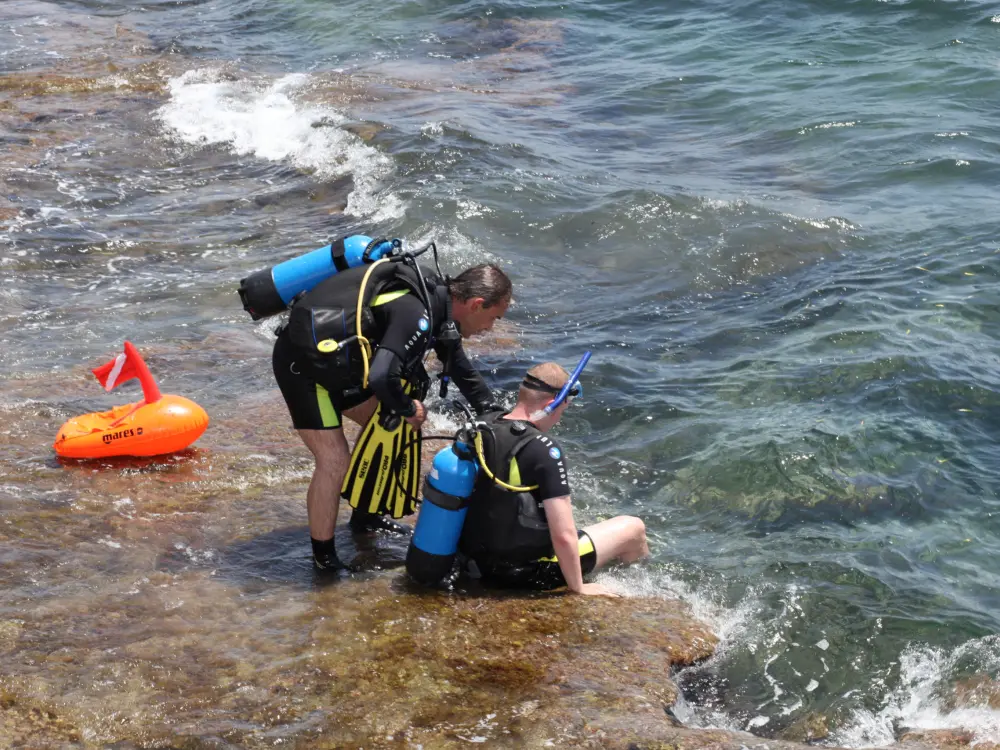 Diving Event