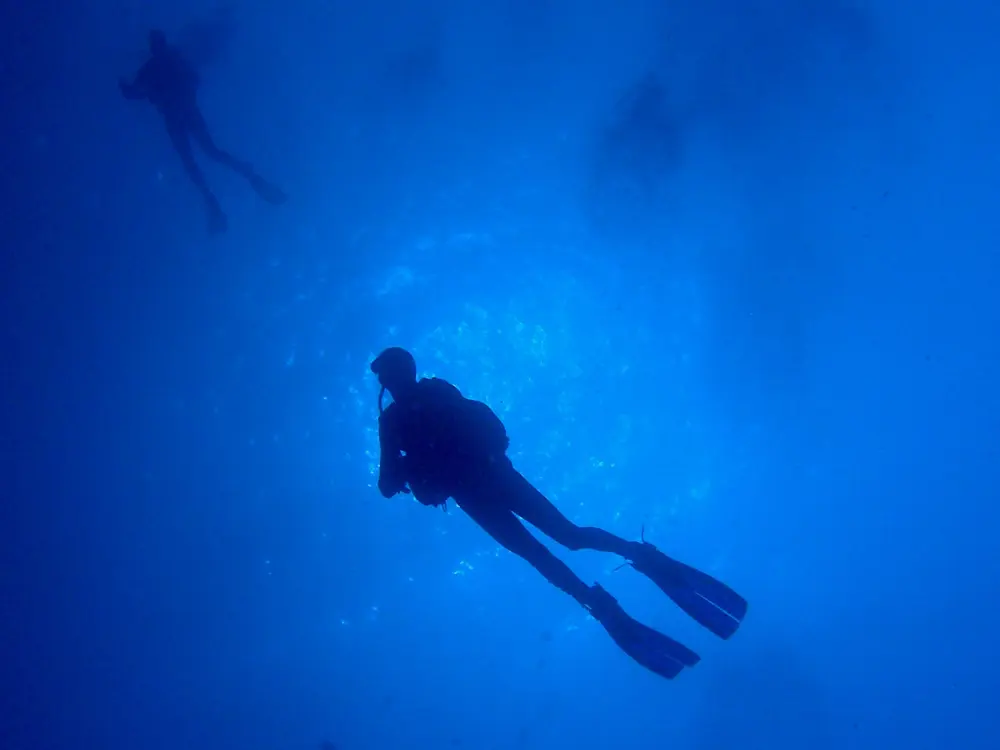 Diving Blue Ocean
