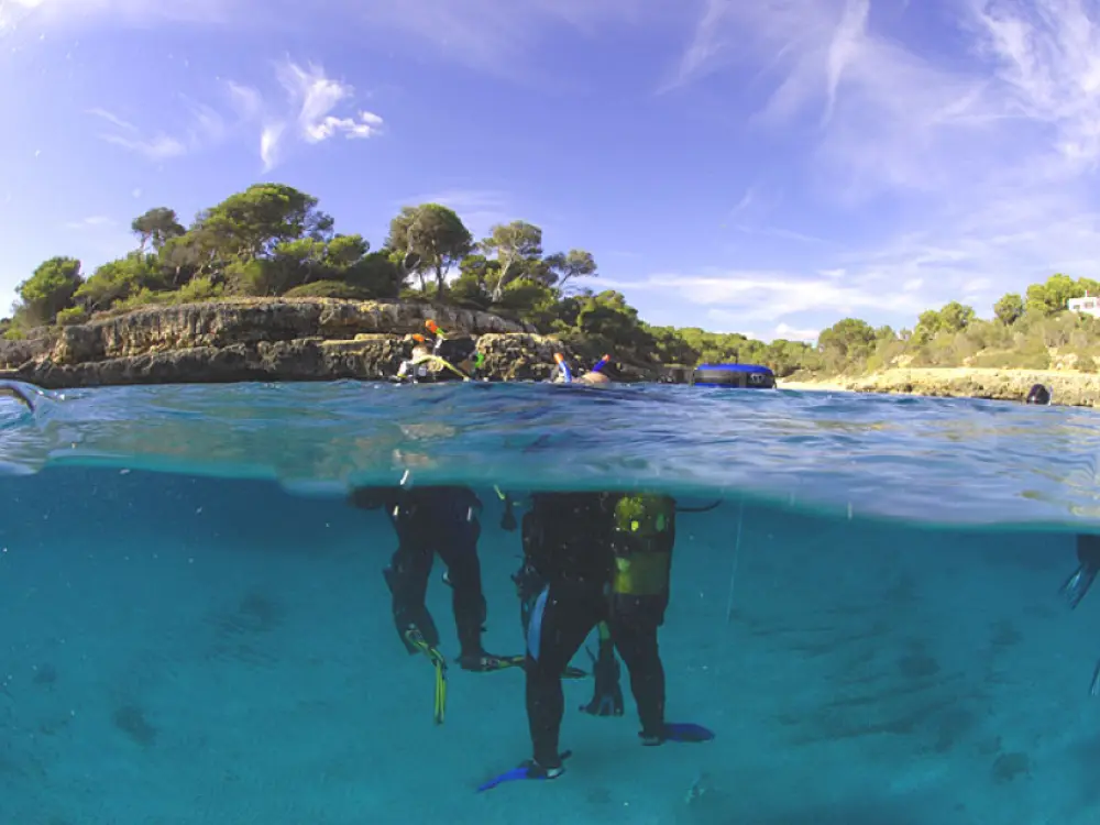 Diving Teambuilding
