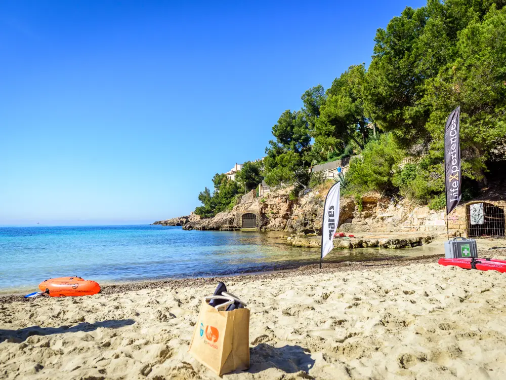 Teambuilding Baywatch Mallorca
