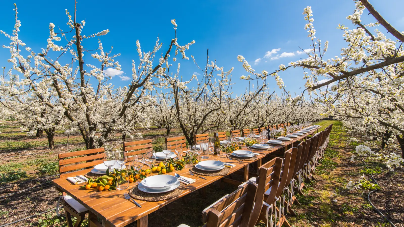 Zero Km Food Xperience Mallorca