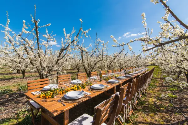 Zero Km Food Xperience Mallorca