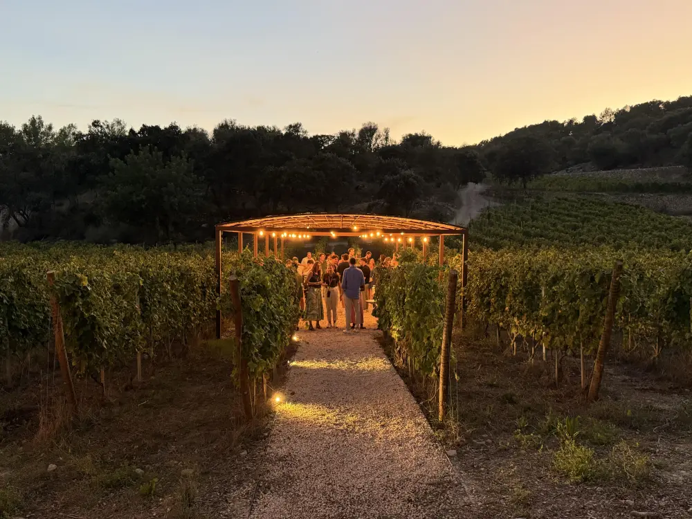 Vineyard Venue Mallorca