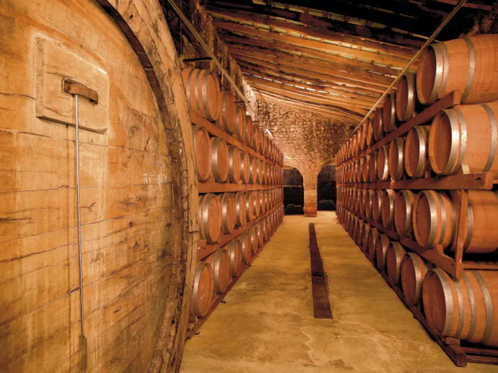 Wine Tasting Experience