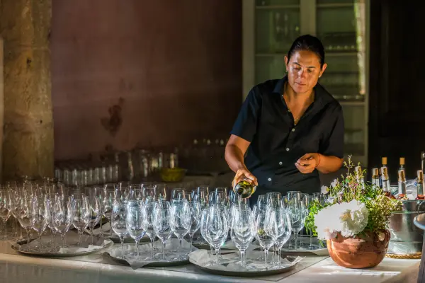 Wine Tour & Wine Tasting Mallorca