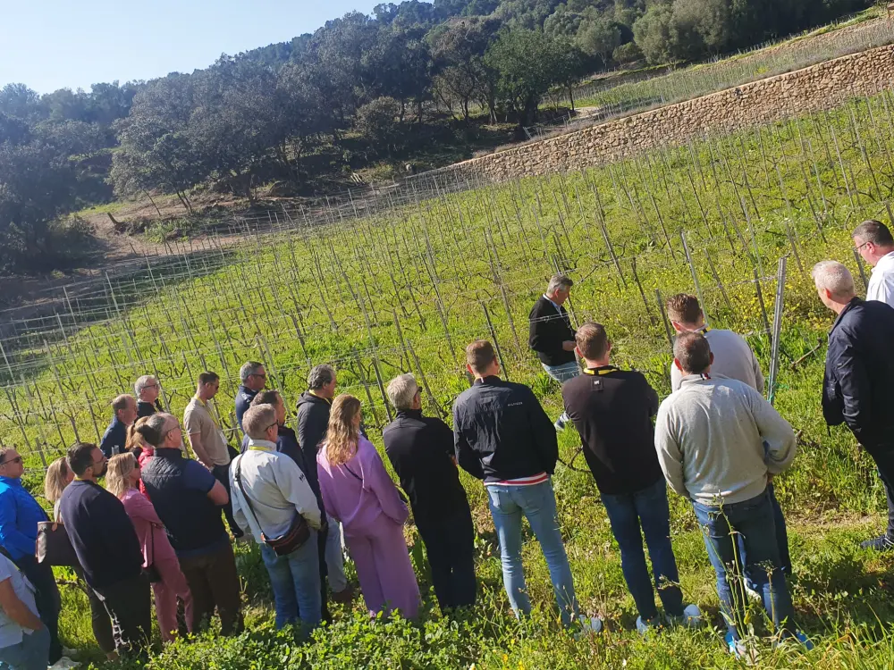 Wine Tour Bodega Visit Wine Tasting Mallorca
