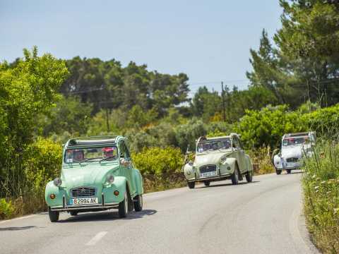 Destination Management Company Ibiza