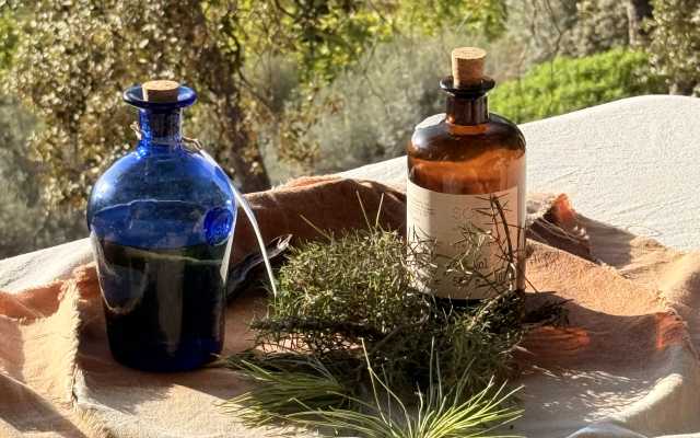 AuthenticMallorca LifeXperiences 7
