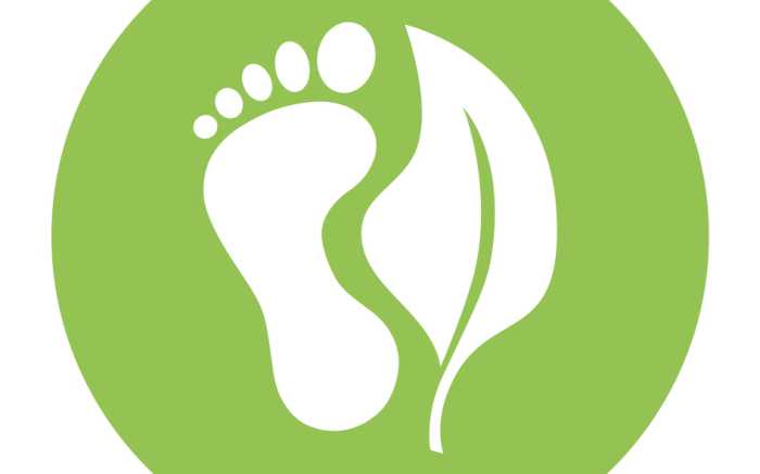 200629 LXP CO2 Offsetting2