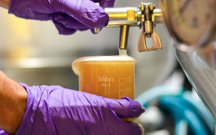 Bier Tasting Mallorca