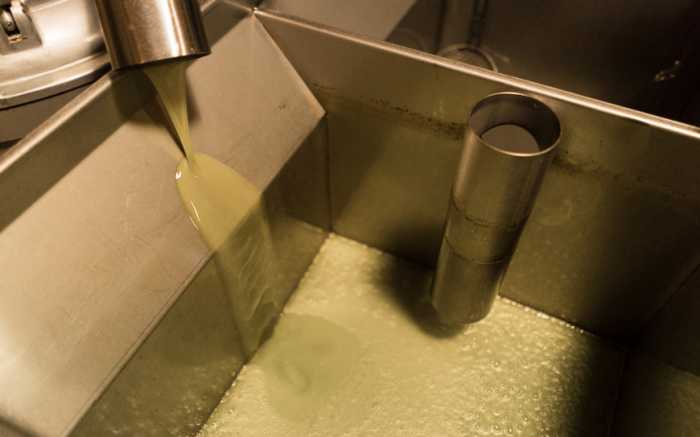 Olive oil Production Mallorca