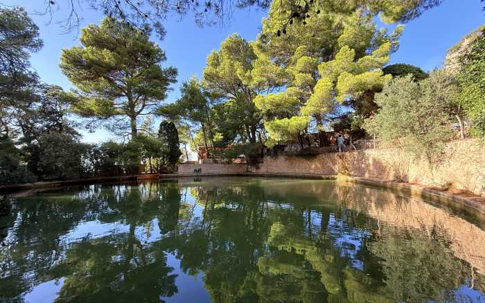 AuthenticMallorca LifeXperiences