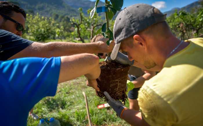 CSR Mallorca Incentive