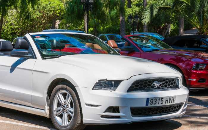 Cabrio Rally Incentives Mallorca 4