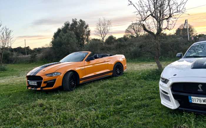 Cabrio Rally Incentives Mallorca