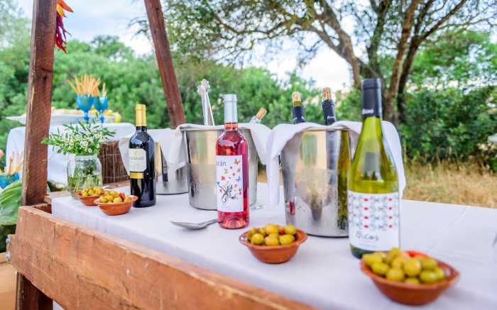 Camping Teambuilding