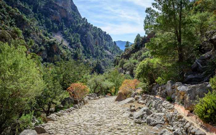 Coaching Incentive Mallorca