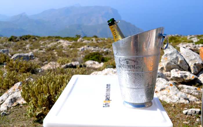 Treeplanting Incentive