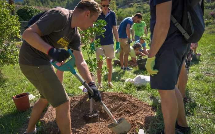 Treeplanting Teamevent