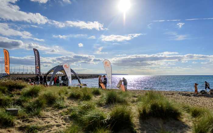 Beach Clean-Up Sustainability