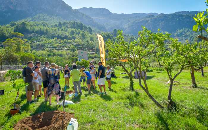 Event Agency Tree Planting