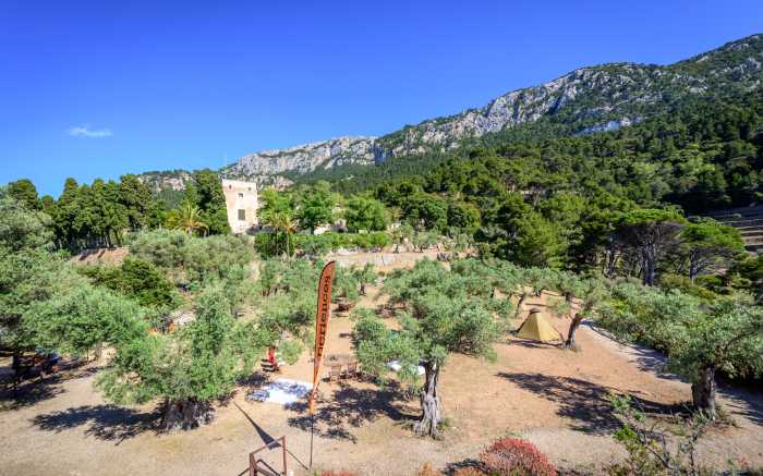 Event Management Coaching Mallorca