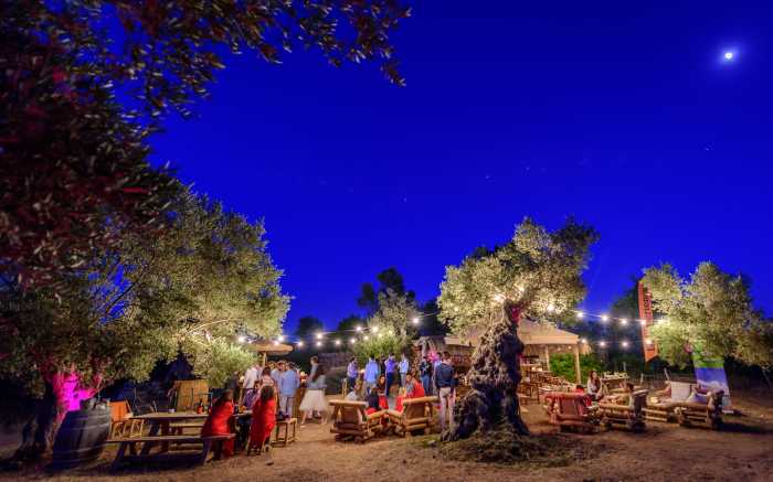 Event Management Mallorca Incentive Trip