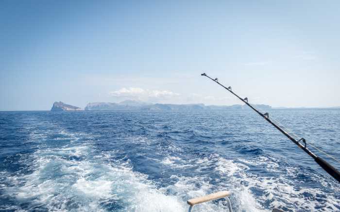 Deep Sea Fishing Nature