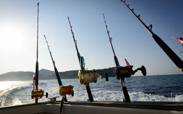 Deep Sea Fishing Incentive