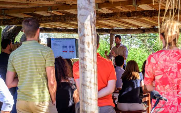 Incentive Reise Mallorca Event Agentur