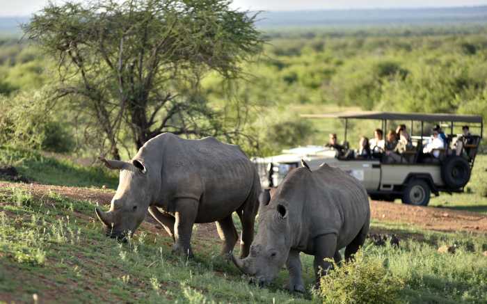 Incentive Southafrica